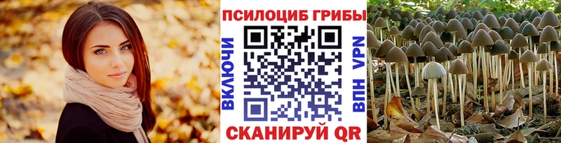 Псилоцибиновые грибы Psilocybe blacksprut tor Зеленокумск