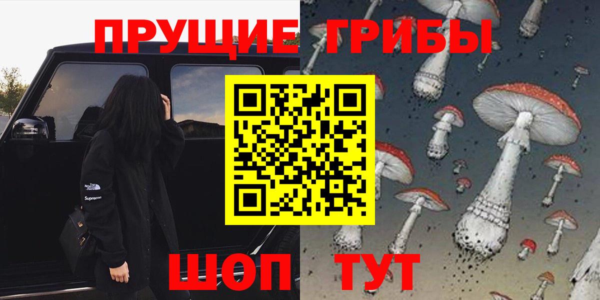 Галлюциногенные грибы Psilocybine cubensis  Вход с VPN  Галлюциногенные грибы Psilocybine cubensis  Зеленокумск 