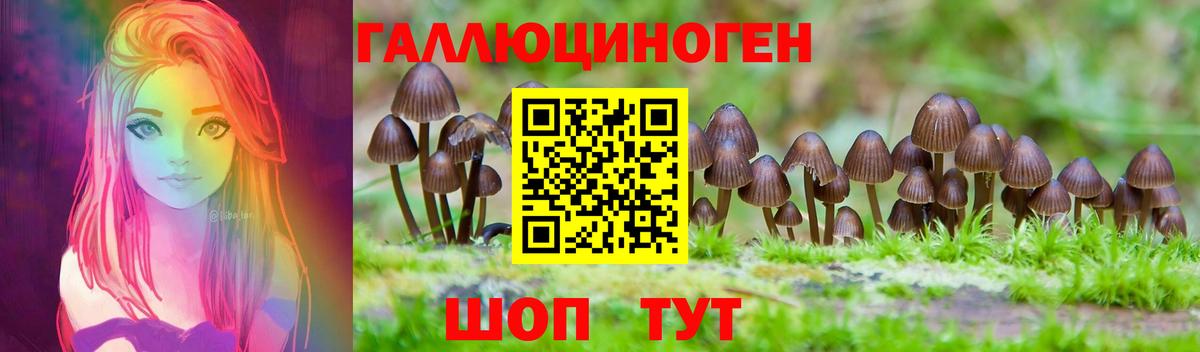 Галлюциногенные грибы Psilocybe Зеленокумск